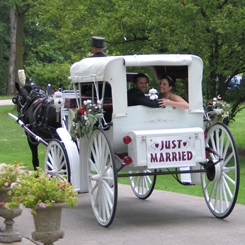 Newly Wedded Couple Riding a Horse Carriage